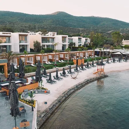 The Norm Collection Door'a Bodrum فندق توربا